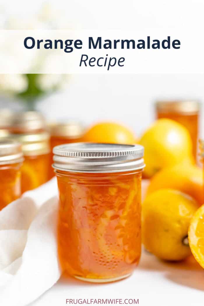 orange marmalade recipe