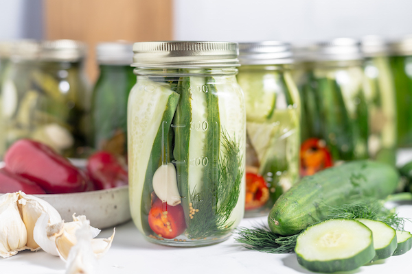 Kosher Dill Pickles Recipe
